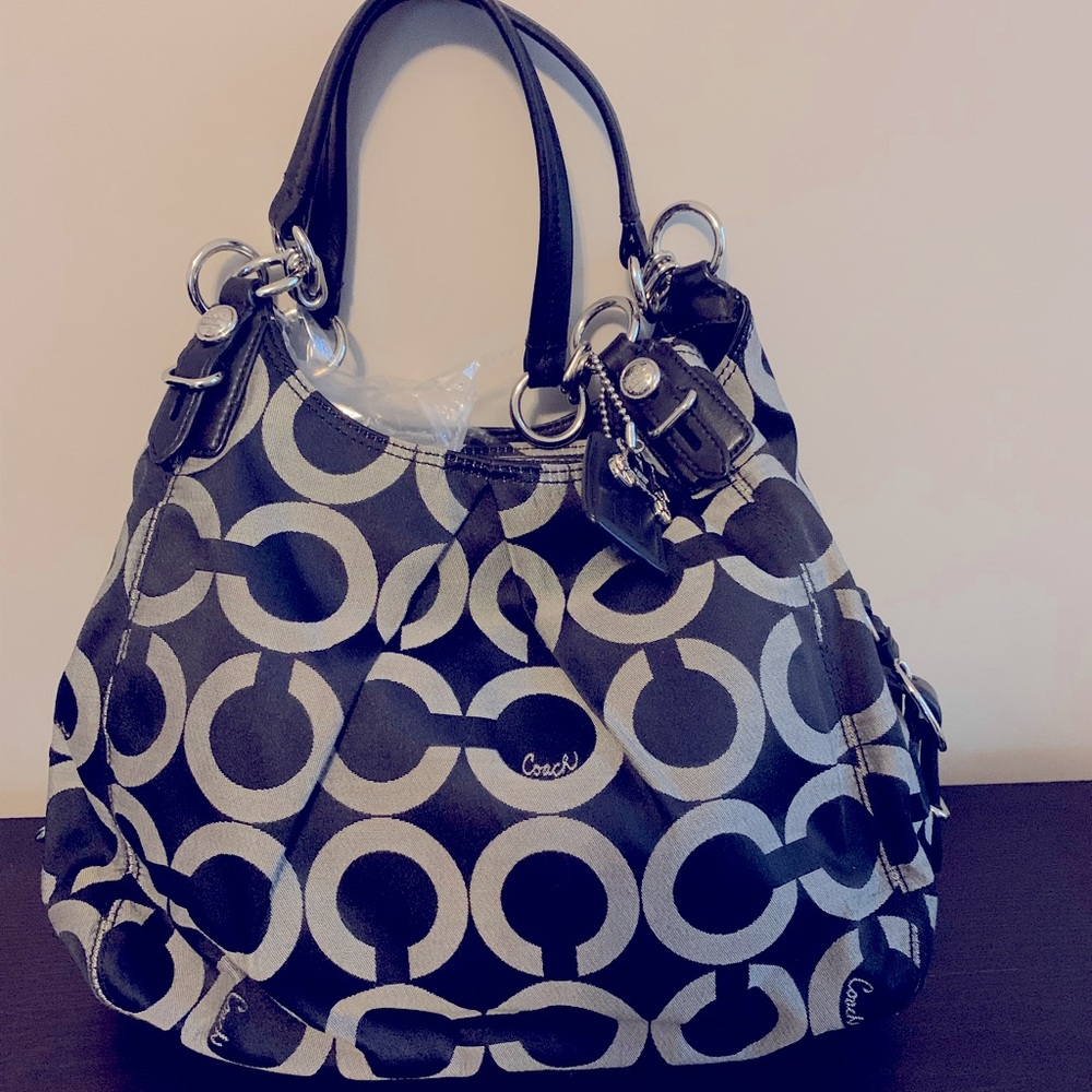 EUC Coach purse